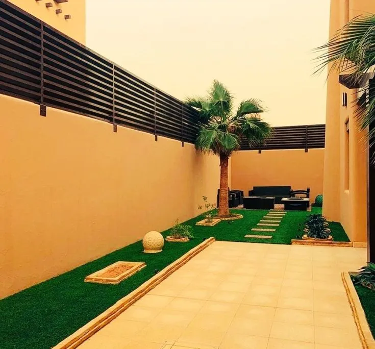 صورة المقال