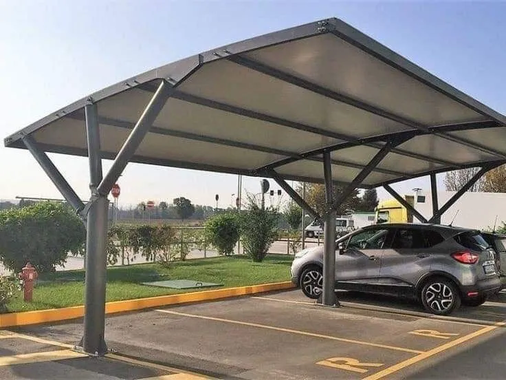 صورة المقال
